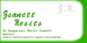 zsanett mesits business card